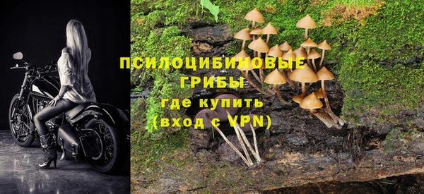 синтетический гашиш Алексеевка
