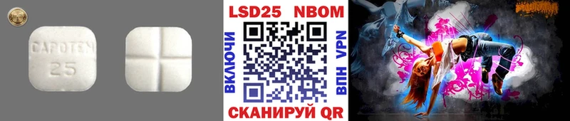 где купить   Грайворон  hydra ТОР  LSD-25 экстази ecstasy 