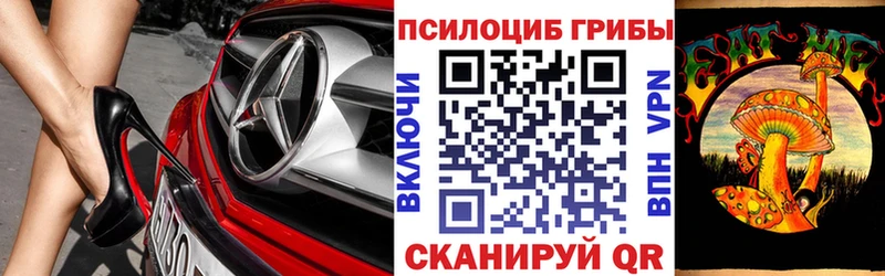Галлюциногенные грибы прущие грибы  продажа наркотиков  Грайворон 